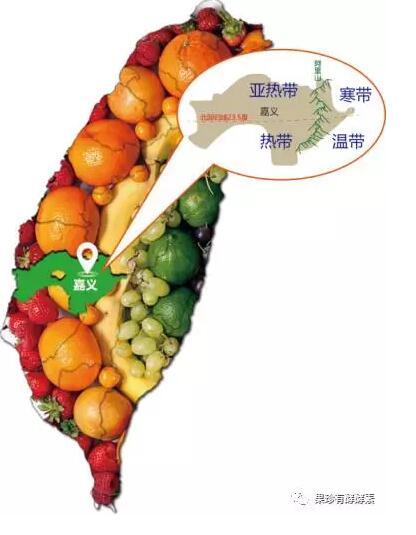 我们的果珍酵素工厂为什么会选在台湾嘉义县